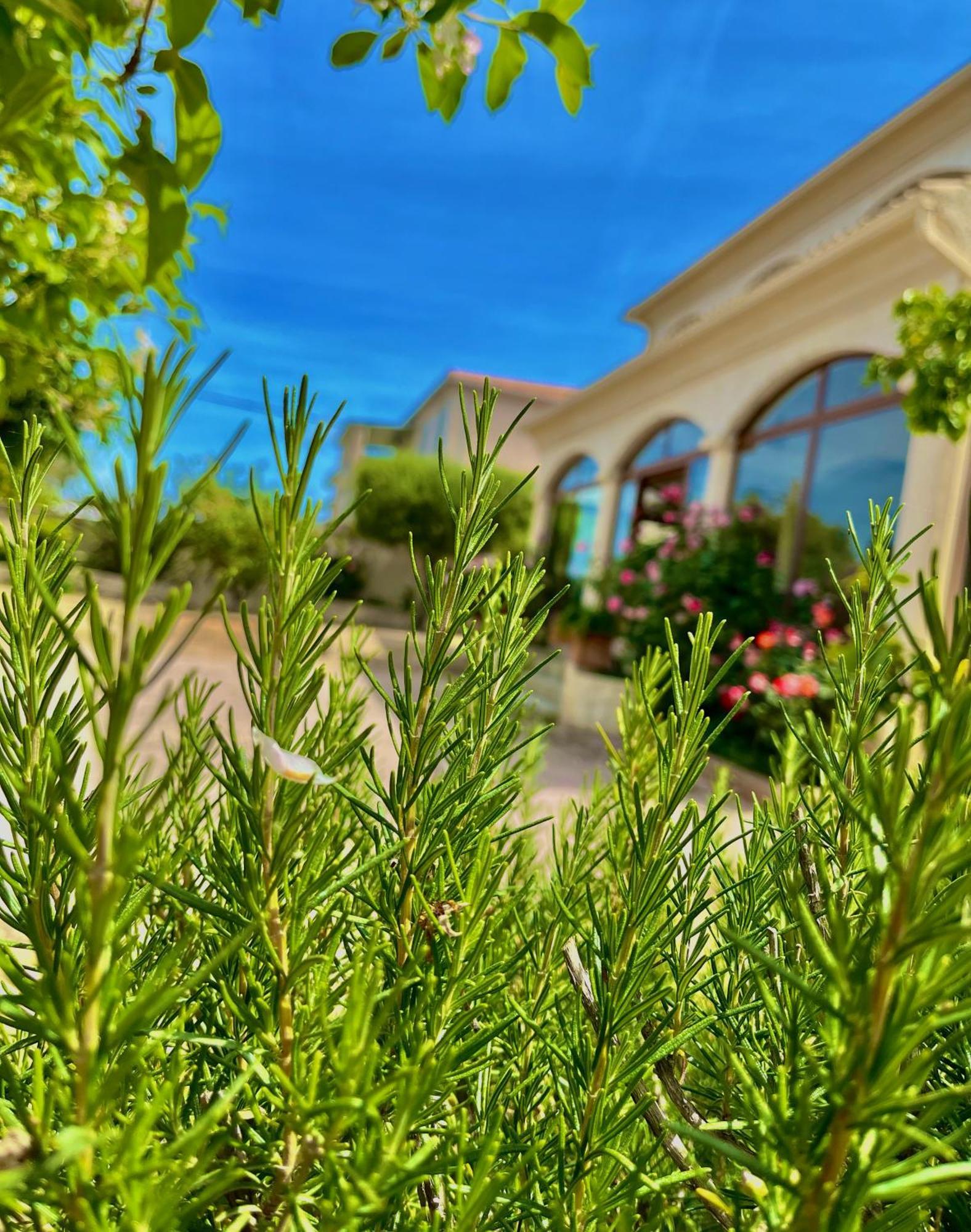 Residence U Filipaghju Galéria Exterior foto